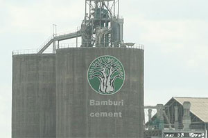 Bamburi Cement Net Profit Nearly Doubles In First Half | Africa ...