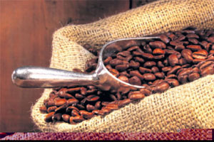 Danish firm plans Kenya coffee roasting factory