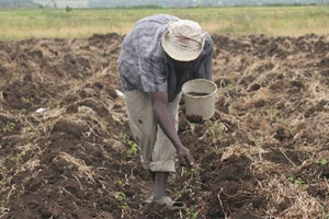 Tanzania to build $3bn fertiliser factory this year