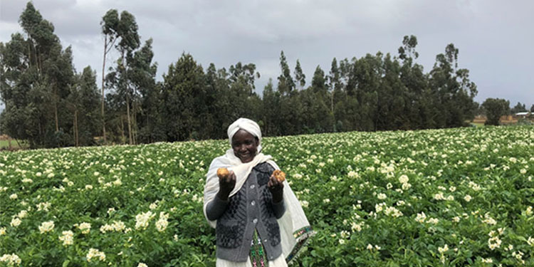 Ethiopia's Agriculture Sector To Unleash Significant ...