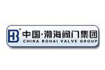 BOHAI VALVE GROUP CO., LTD.