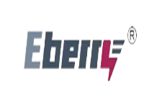EBERRY ELECTRIC CO., LTD