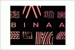 BINAA MS LIMITED