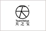 FOSHAN TEAM VALUE DECORATIVE MATERIALS CO., LTD