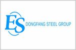 DONGFANG STEEL GROUP LIMITED DONGFANG STEEL GROUP LIMITED