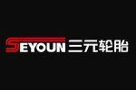 Jiangsu Sanyuan Tire Co., Ltd.