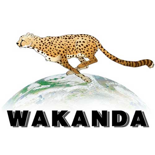 YIWU WAKANDA MEDICAL INSTRUMENT CO., LTD.