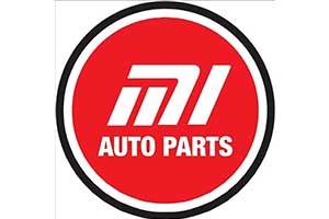 Musa Investment and Automotive Ltd